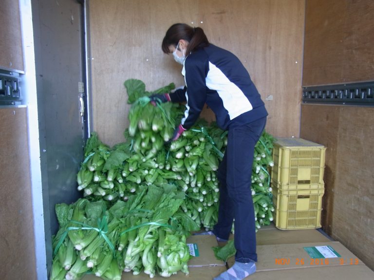 トラックに荷積め