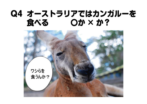 コロニーセンター オンラインツアー番外編 クイズ大会 山形県コロニー協会ブログ