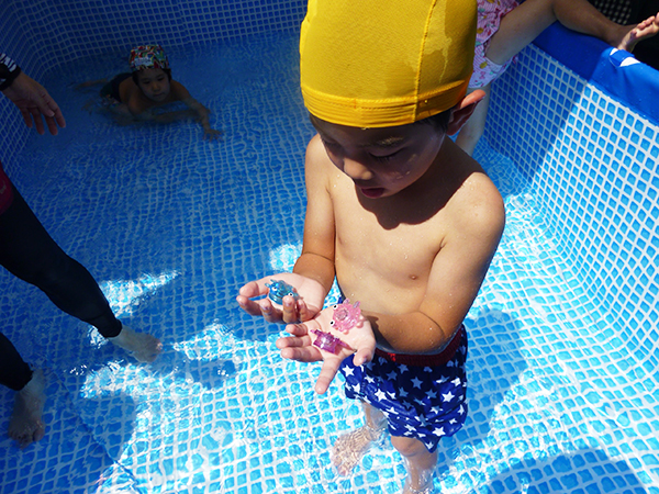 キラキラ金魚つかまえたよ。