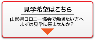 見学希望はこちら